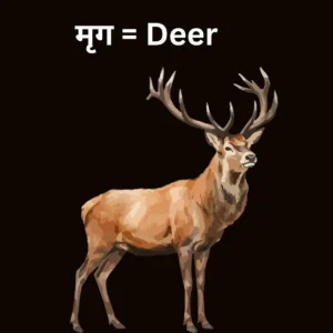 ri ki matra wale shabd hindi mein