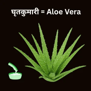 ri ki matra wale shabd worksheet