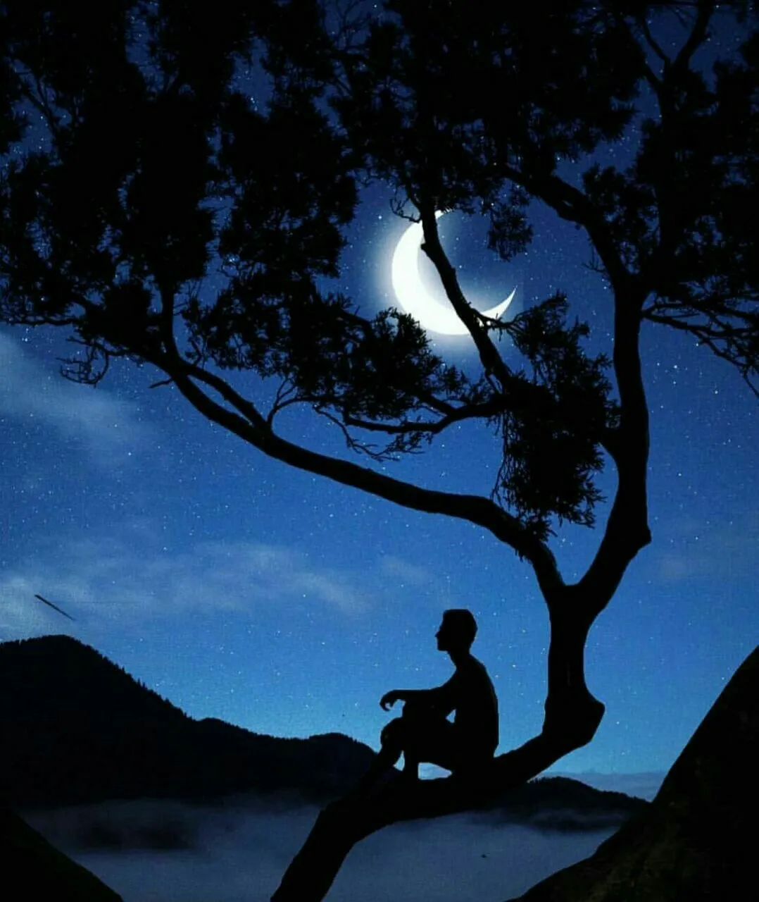 Signs You Are a Nyctophile