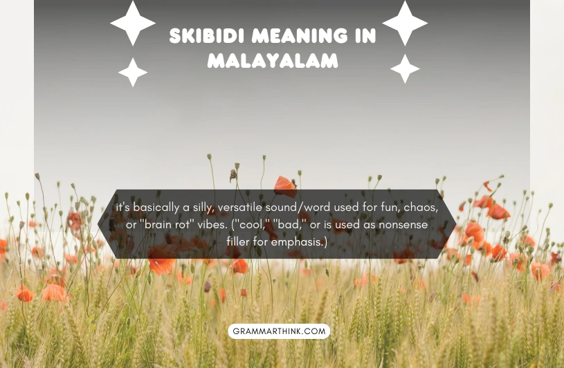 Skibidi Meaning in Malayalam: What This Viral Slang Term Really Means skibidi meaning in malayalam